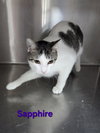 Sapphire - Photo 6