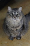 Tasha - Photo 1
