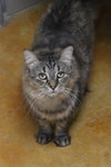 Tasha - Photo 4