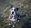 Ares - Photo 2