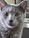 Dusty - Photo 4