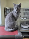 Dusty - Photo 6
