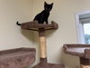 Ernie - Photo 5