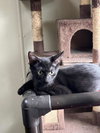 Ernie - Photo 3