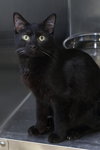 Ernie - Photo 6