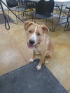 Emmett - Photo 5