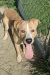Emmett - Photo 2