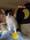 Paris - Photo 3