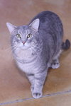 Zeke - Photo 5