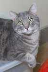 Zeke - Photo 6