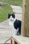 Waldo - Photo 4