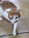 Leland - Photo 4