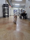 Leland - Photo 5