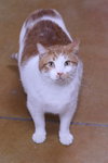 Leland - Photo 6