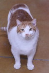 Leland - Photo 8