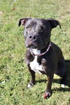 Sasha - Photo 2