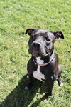 Sasha - Photo 3
