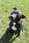 Sasha - Photo 4