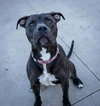 Sasha - Photo 1