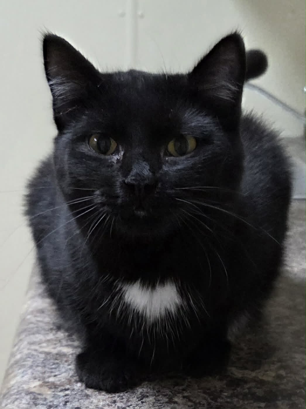 Busy, photo 4