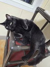 Kevin - Photo 4