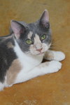 Jane - Photo 2