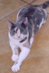 Jane - Photo 2