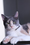 Jane - Photo 3