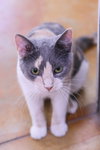 Jane - Photo 4