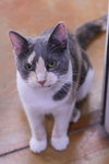 Jane - Photo 5