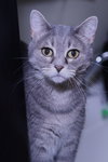 Misty - Photo 3