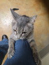 Misty - Photo 7