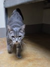 Misty - Photo 9