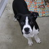 Luke - Photo 3