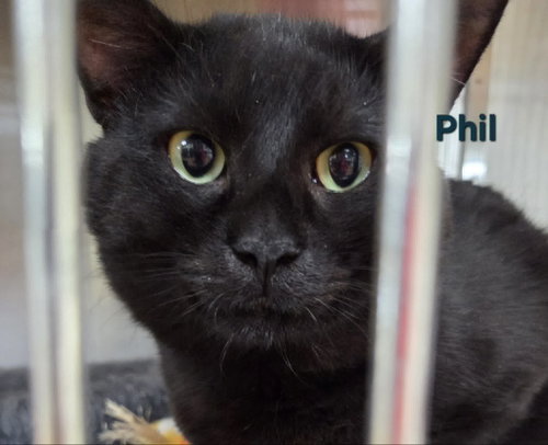 Photo 2 of Phil
