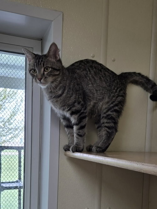 Photo 4 of Oliver