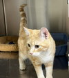 Winnie - Photo 1