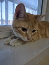 Winnie - Photo 4