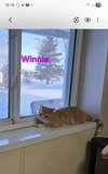 Winnie - Photo 6