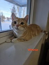 Winnie - Photo 7
