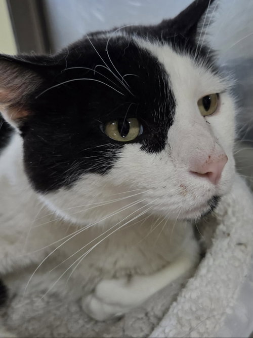 Photo 5 of Lolo