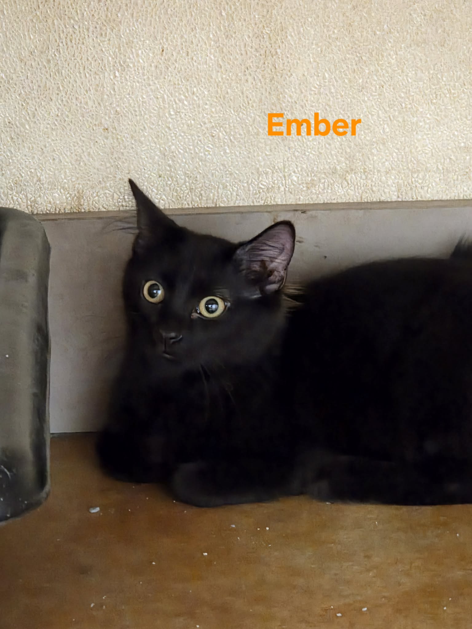Ember