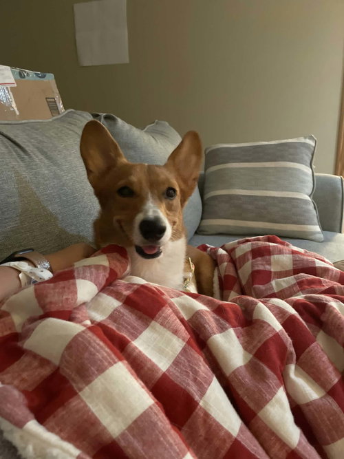 Phoebe photo 2