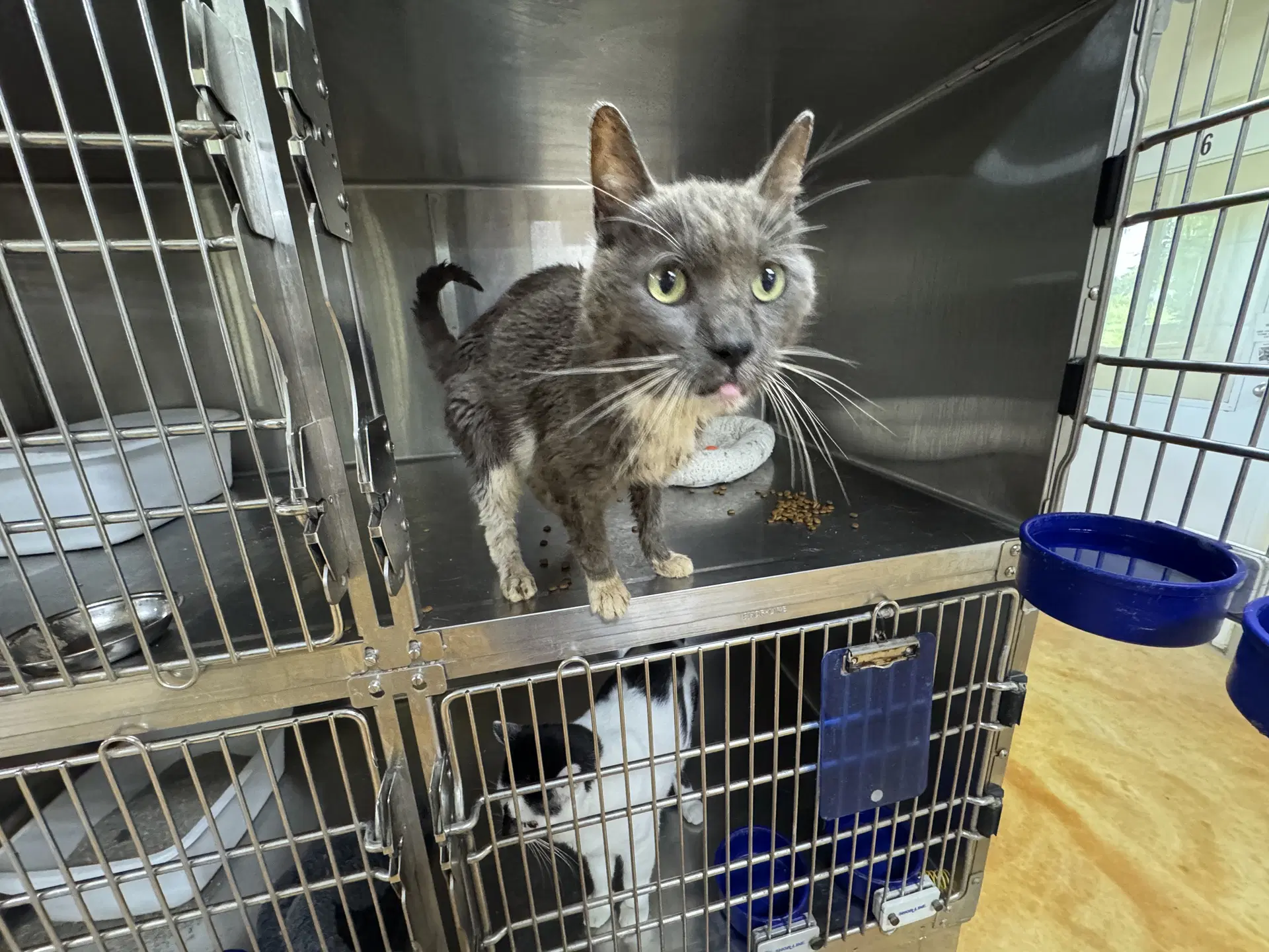 Jeff image 2
