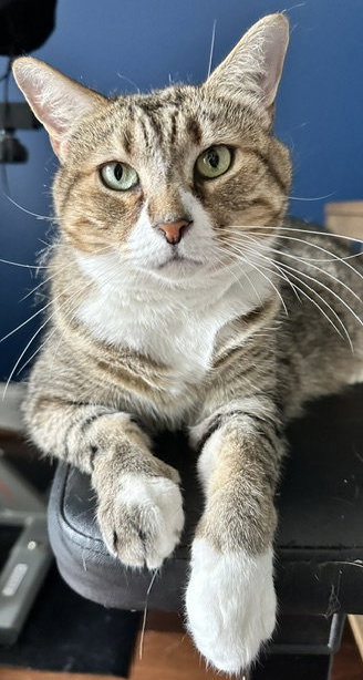 Photo 3 of Mabel