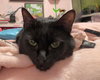Star - Photo 9