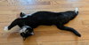 Honey - Photo 7