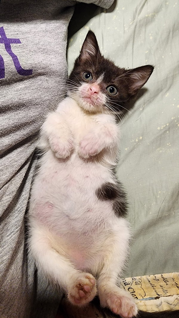 Luna