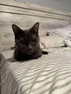 Mindy - Photo 6