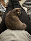 Mindy - Photo 3